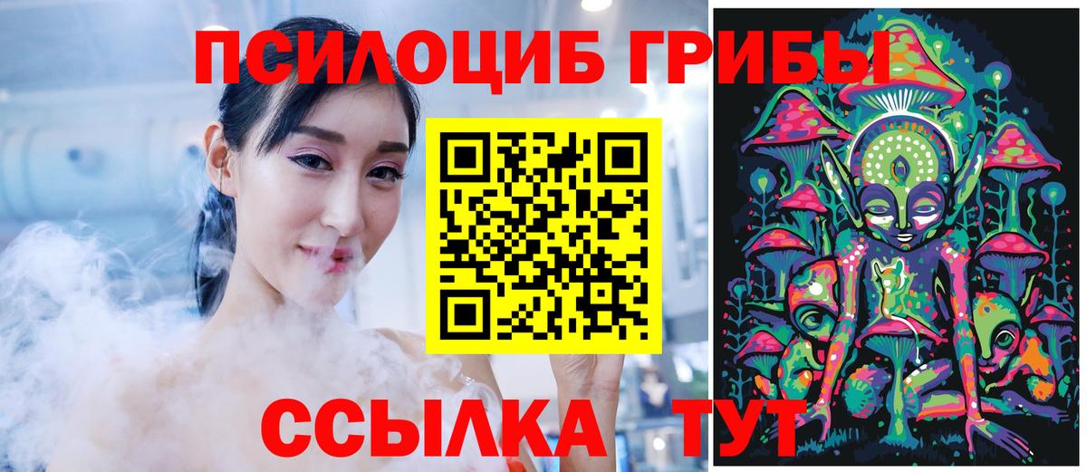 Россошь  Галлюциногенные грибы Cubensis  Вход с VPN 