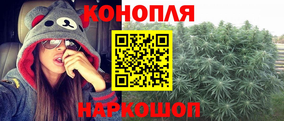 Бошки Шишки MAZAR Россошь